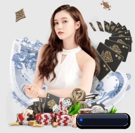 公司成立
