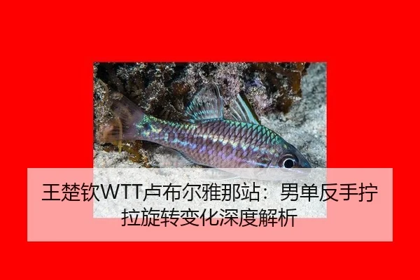wang-chu-qin-lu-bu-er-ya-na-zhan-nan-dan-fan-shou-ning-la-xuan-zhuan-bian-hua-shen-du-jie-xi-2-435.jpg