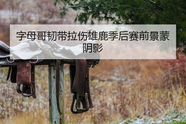 字母哥韧带拉伤雄鹿季后赛前景蒙阴影