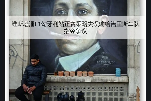 维斯塔潘F1匈牙利站正赛策略失误输给诺里斯车队指令争议