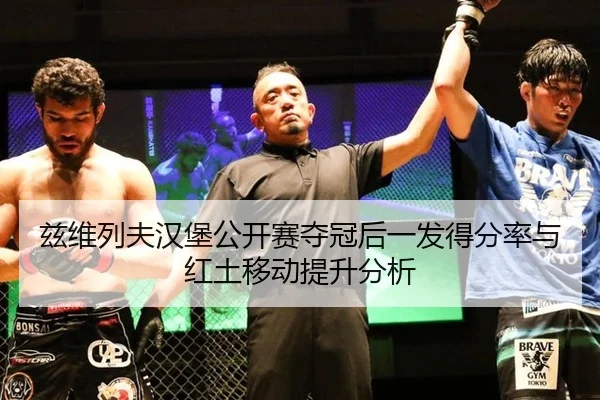 zi-wei-lie-fu-han-bao-gong-kai-sai-duo-guan-hou-yi-fa-de-fen-lv-yu-hong-tu-yi-dong-ti-sheng-fen-xi-2-327.jpg