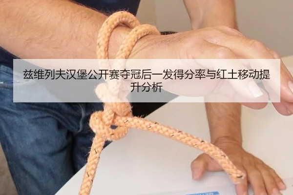 zi-wei-lie-fu-han-bao-gong-kai-sai-duo-guan-hou-yi-fa-de-fen-lv-yu-hong-tu-yi-dong-ti-sheng-fen-xi-3-317.jpg